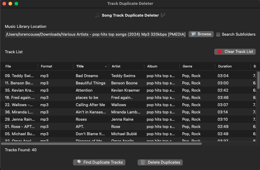 Duplicate Track Deleter Demo